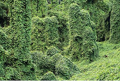 《波拿巴 - 机甲大革命》EA（抢先体验）版现已正式发售