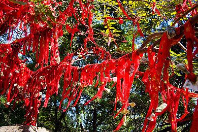 《哥谭骑士》幕后宣传片公布 10月25日发售