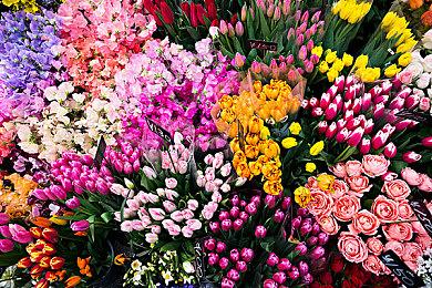 DNF手游国服iOS端赚2.7亿美元：怀旧情怀起作用